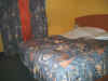 IMGP1765.JPG (232706 octets)